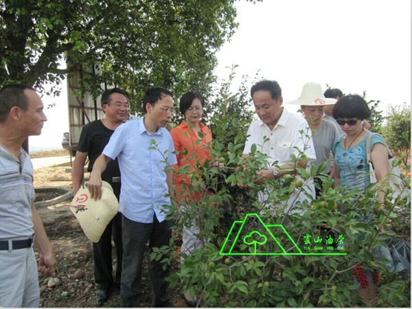 江西省油茶辦主任、工程師孫勇、省科技廳農(nóng)村工作處副處長、副調(diào)研員尹伊等基地指導工作